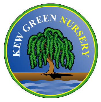 Kew Green Nursery Logo
